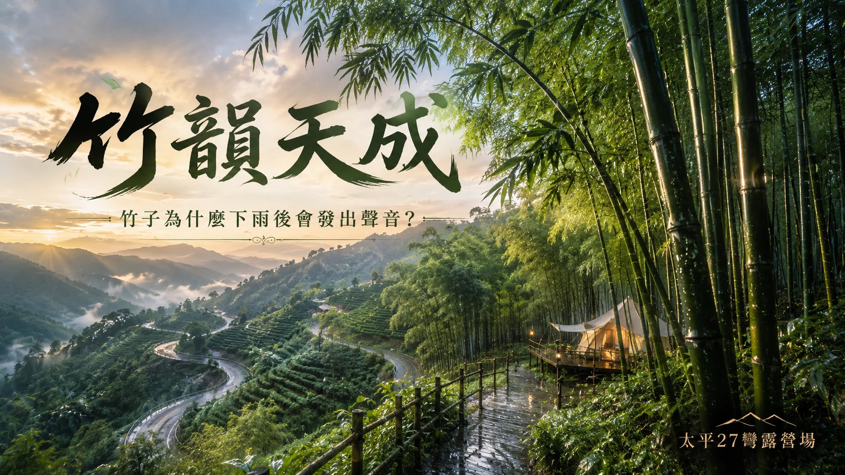 【竹韻天成】竹子為什麼下雨後會發出聲音 【竹韻天成】竹子為什麼下雨後會發出聲音