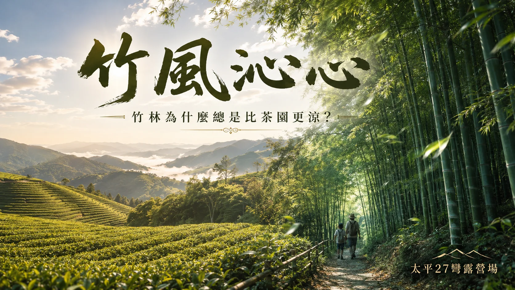 【竹風沁心】竹林為什麼總是比茶園更涼? 【竹風沁心】竹林為什麼總是比茶園更涼?