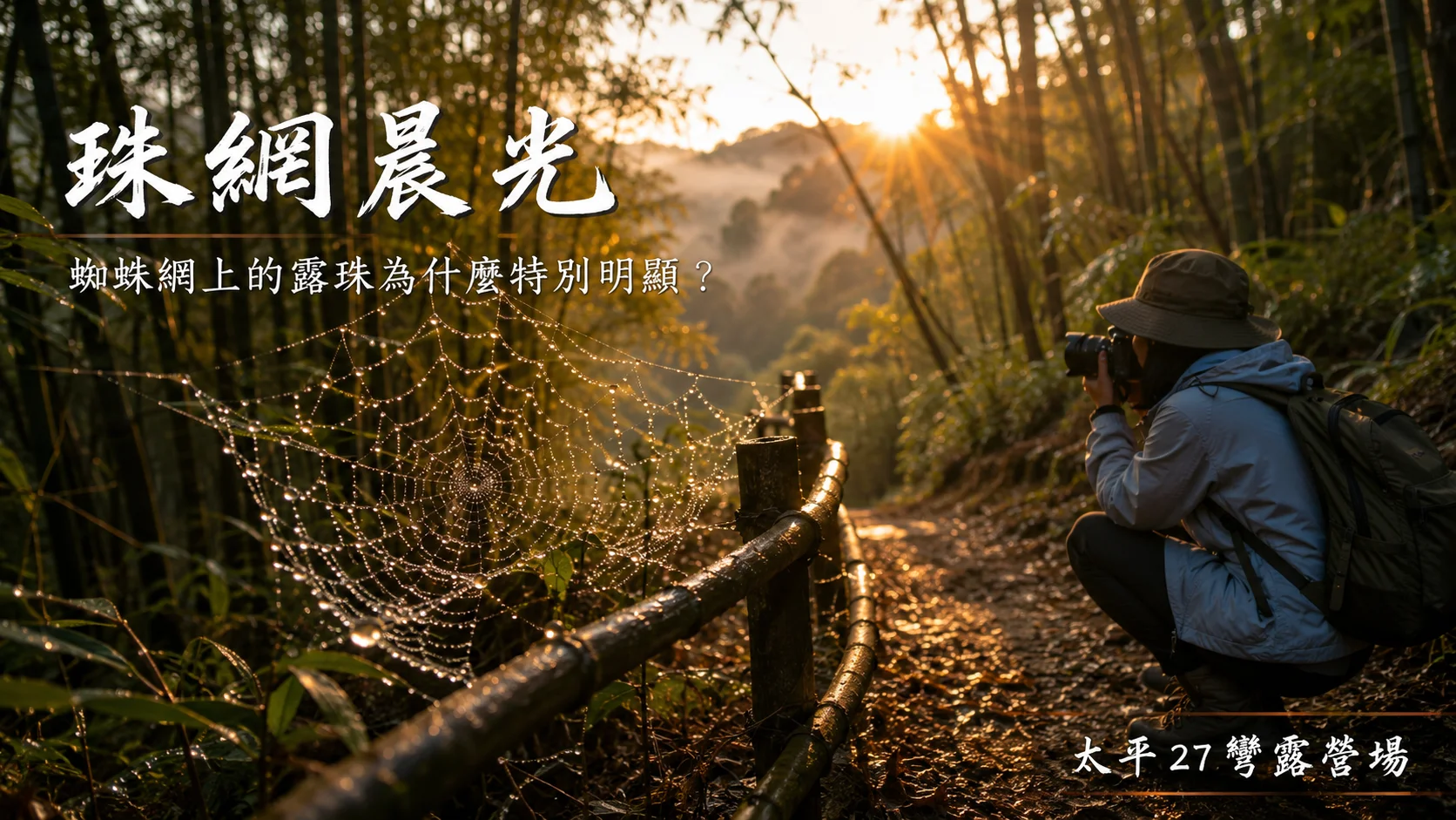 【珠網晨光】蜘蛛網上的露珠為什麼特別明顯？