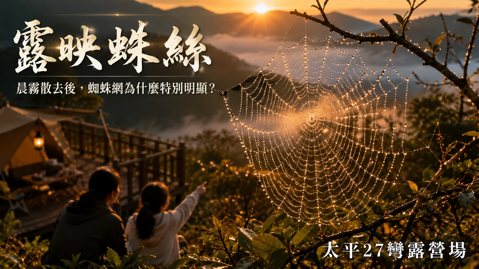 【露映蛛絲】晨霧散去後,蜘蛛網為什麼特別明顯? 【露映蛛絲】晨霧散去後,蜘蛛網為什麼特別明顯?