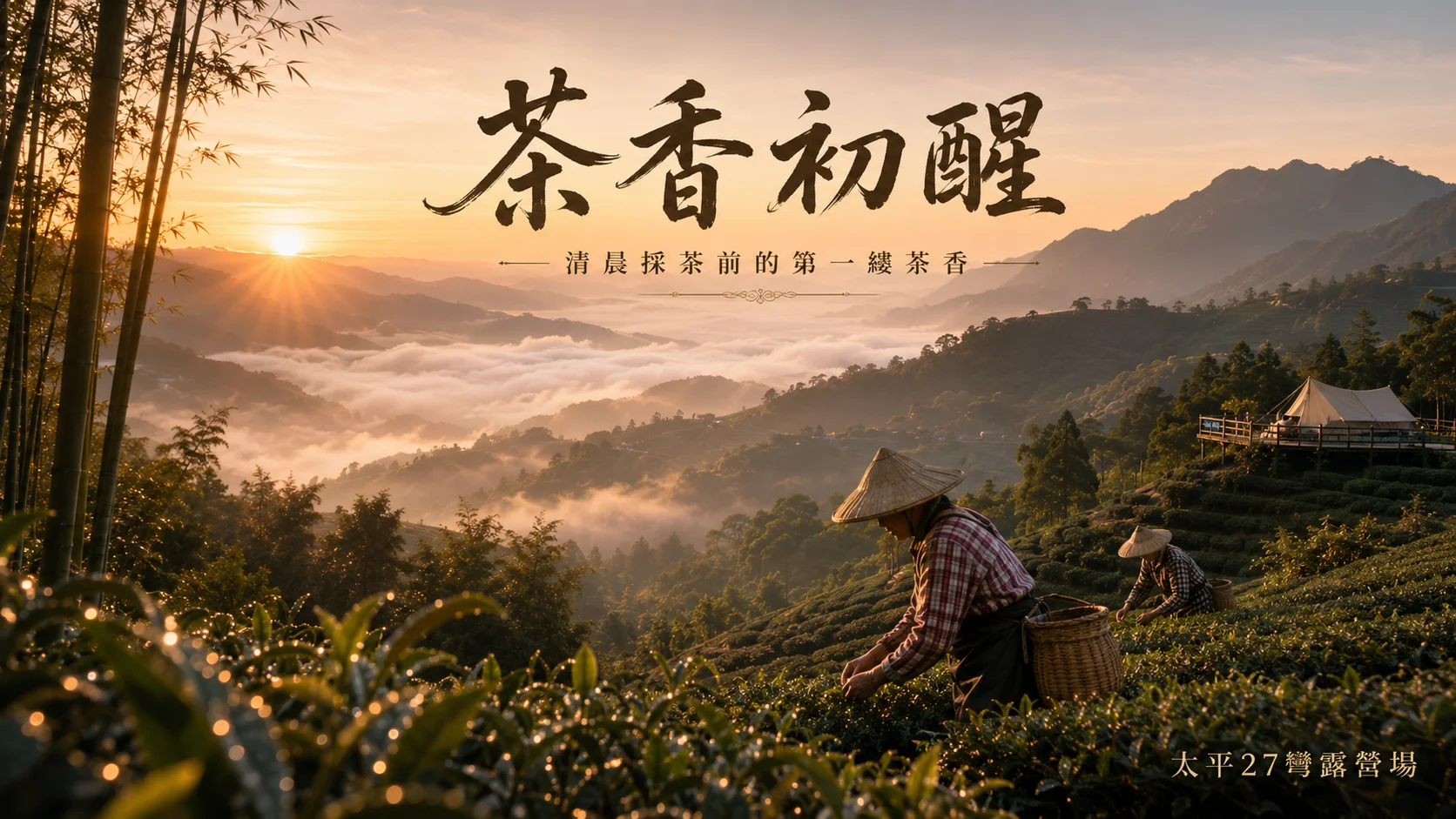 【茶香初醒】清晨採茶前的第一縷茶香 【茶香初醒】清晨採茶前的第一縷茶香