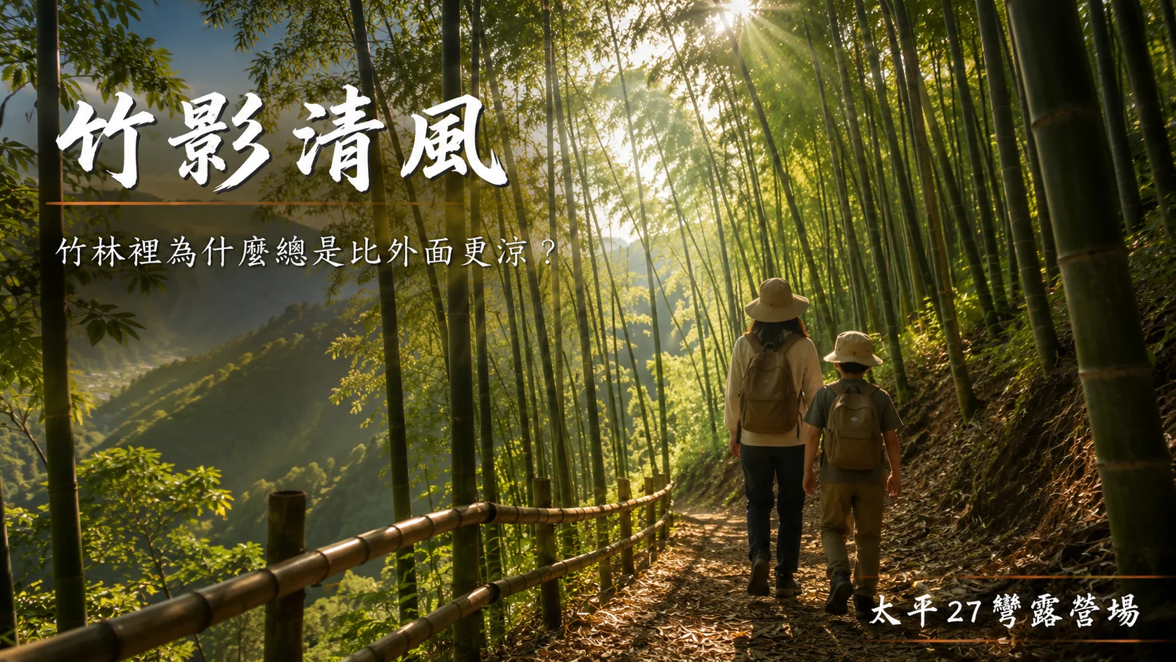 【竹影清風】竹林裡為什麼總是比外面更涼？